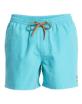 Everyday Solid Volley Shorts in Aqua