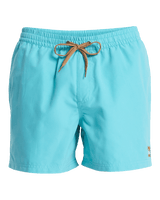 Everyday Solid Volley Shorts in Aqua