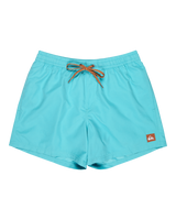 Everyday Solid Volley Shorts in Aqua