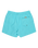 Everyday Solid Volley Shorts in Aqua