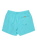 Everyday Solid Volley Shorts in Aqua