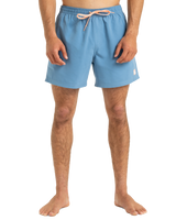 The Quiksilver Mens Everyday Solid Volley Shorts in Coronet Blue