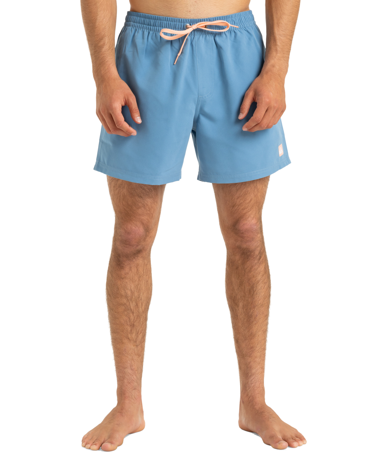 The Quiksilver Mens Everyday Solid Volley Shorts in Coronet Blue
