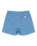 The Quiksilver Mens Everyday Solid Volley Shorts in Coronet Blue