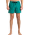 The Quiksilver Mens Everyday Solid Volley Shorts in Teal Green
