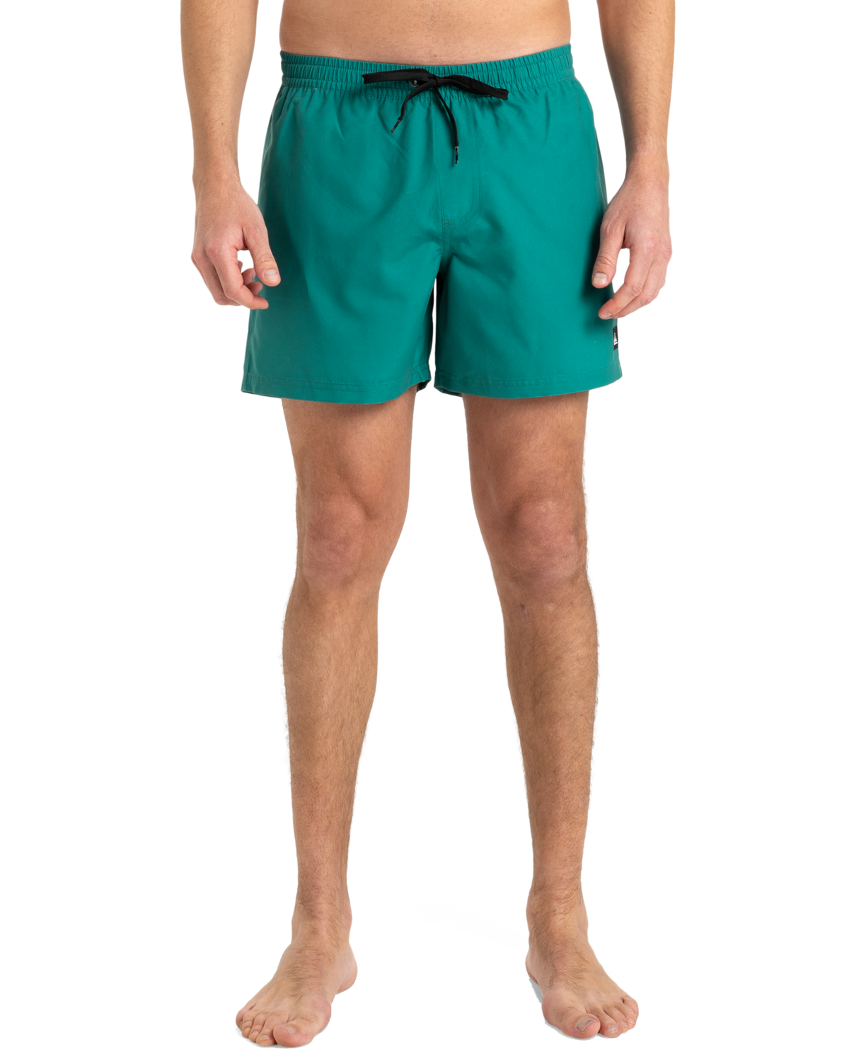The Quiksilver Mens Everyday Solid Volley Shorts in Teal Green