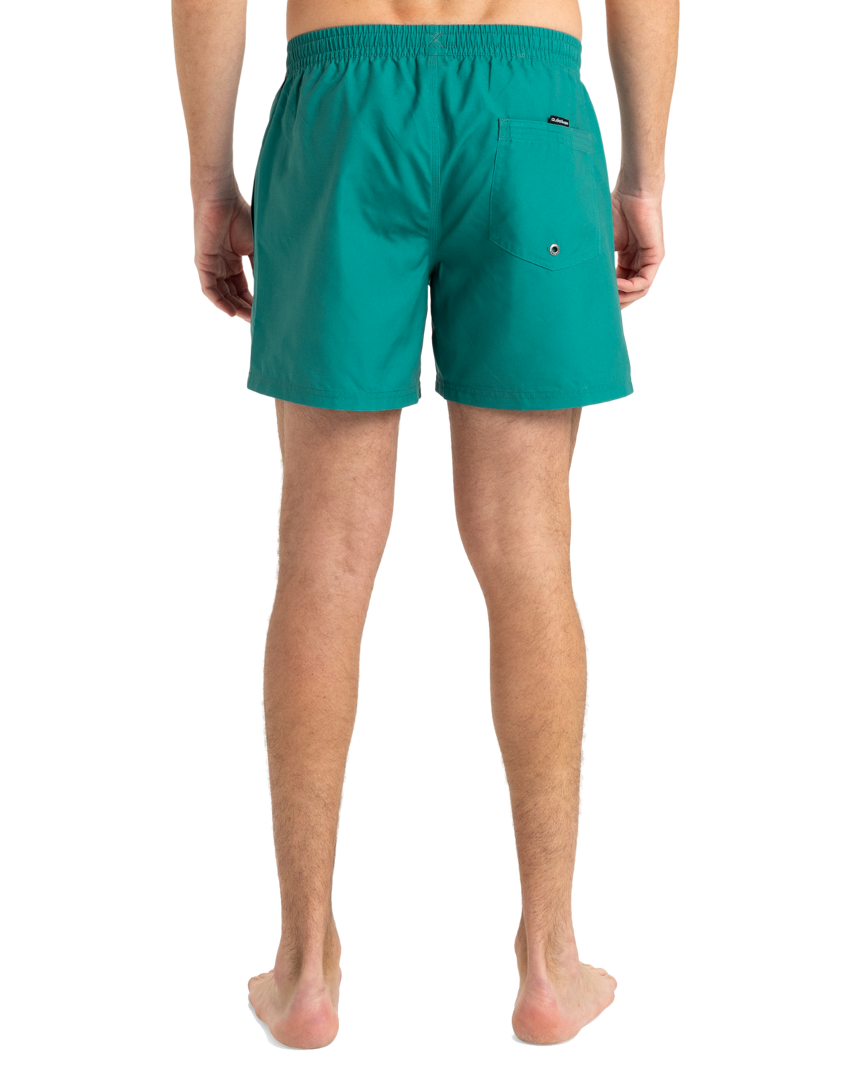 The Quiksilver Mens Everyday Solid Volley Shorts in Teal Green