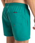 The Quiksilver Mens Everyday Solid Volley Shorts in Teal Green