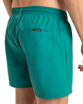 The Quiksilver Mens Everyday Solid Volley Shorts in Teal Green