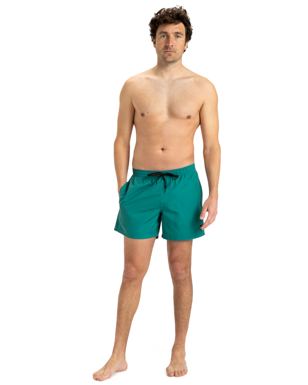 The Quiksilver Mens Everyday Solid Volley Shorts in Teal Green