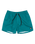 The Quiksilver Mens Everyday Solid Volley Shorts in Teal Green