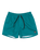 The Quiksilver Mens Everyday Solid Volley Shorts in Teal Green