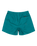 The Quiksilver Mens Everyday Solid Volley Shorts in Teal Green