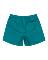 The Quiksilver Mens Everyday Solid Volley Shorts in Teal Green