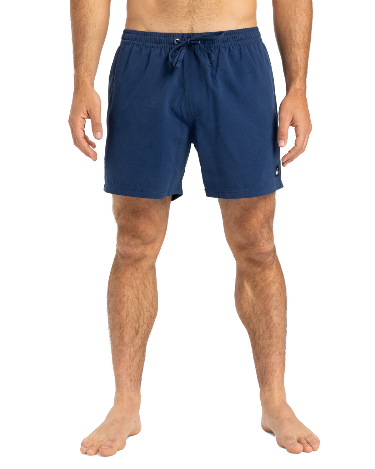 The Quiksilver Mens Everyday Solid Volley Shorts in Estate Blue