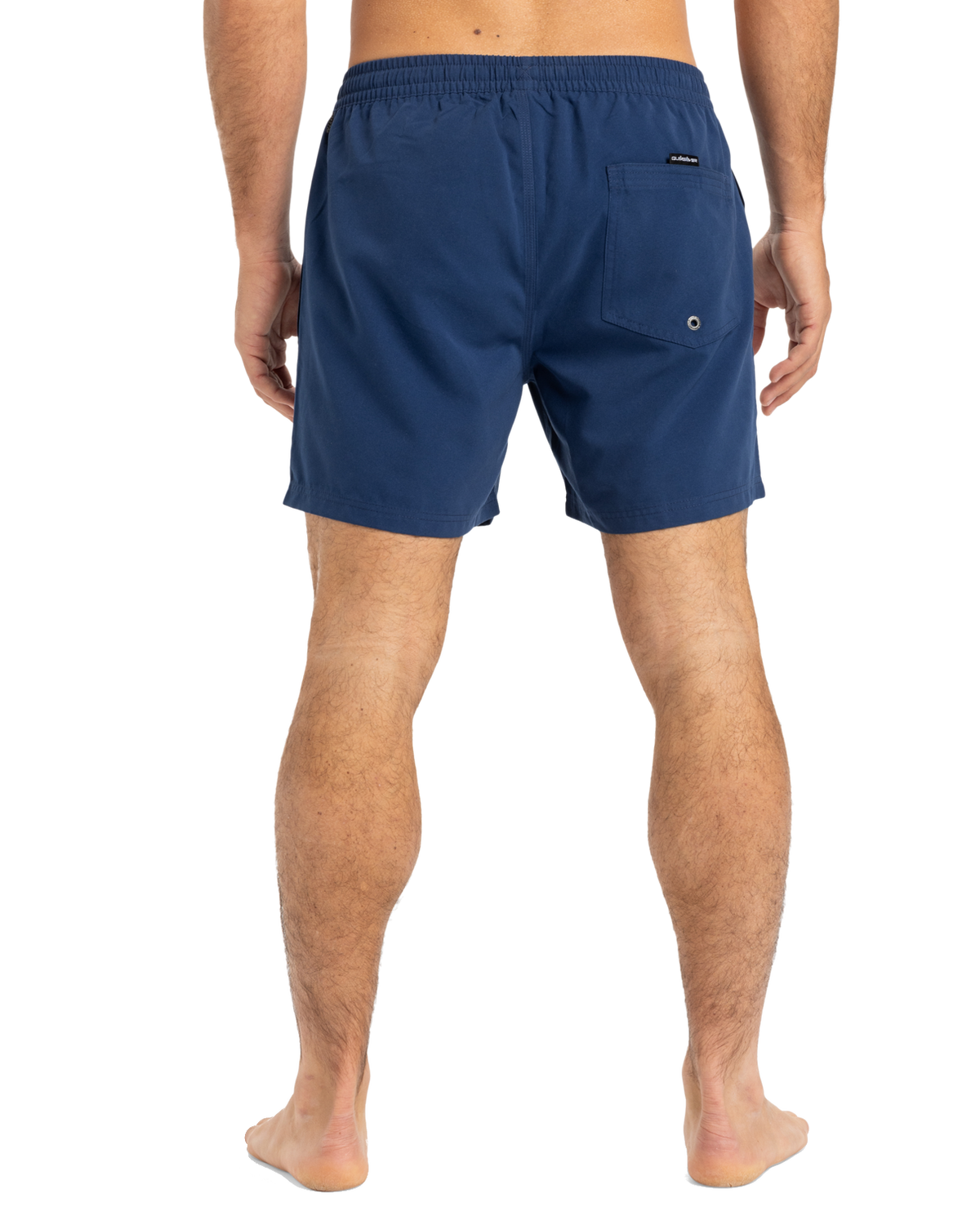 The Quiksilver Mens Everyday Solid Volley Shorts in Estate Blue