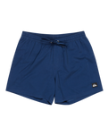 The Quiksilver Mens Everyday Solid Volley Shorts in Estate Blue