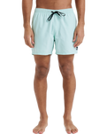 The Quiksilver Mens Everyday Solid Volley Shorts in Mist Green