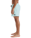 The Quiksilver Mens Everyday Solid Volley Shorts in Mist Green