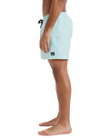 The Quiksilver Mens Everyday Solid Volley Shorts in Mist Green