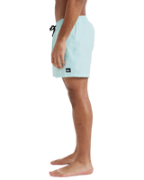 The Quiksilver Mens Everyday Solid Volley Shorts in Mist Green