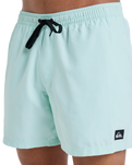 The Quiksilver Mens Everyday Solid Volley Shorts in Mist Green