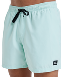 The Quiksilver Mens Everyday Solid Volley Shorts in Mist Green