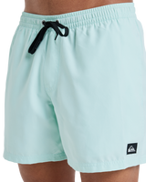 The Quiksilver Mens Everyday Solid Volley Shorts in Mist Green