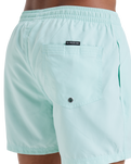 The Quiksilver Mens Everyday Solid Volley Shorts in Mist Green