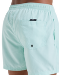 The Quiksilver Mens Everyday Solid Volley Shorts in Mist Green