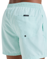 The Quiksilver Mens Everyday Solid Volley Shorts in Mist Green