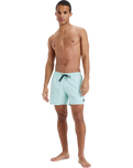 The Quiksilver Mens Everyday Solid Volley Shorts in Mist Green