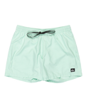 The Quiksilver Mens Everyday Solid Volley Shorts in Mist Green