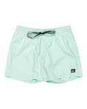 The Quiksilver Mens Everyday Solid Volley Shorts in Mist Green