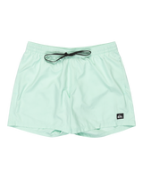 The Quiksilver Mens Everyday Solid Volley Shorts in Mist Green