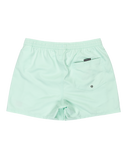 The Quiksilver Mens Everyday Solid Volley Shorts in Mist Green