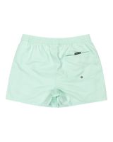 The Quiksilver Mens Everyday Solid Volley Shorts in Mist Green