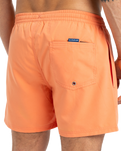 The Quiksilver Mens Everyday Solid Volley Shorts in Melon