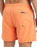 The Quiksilver Mens Everyday Solid Volley Shorts in Melon
