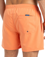 The Quiksilver Mens Everyday Solid Volley Shorts in Melon