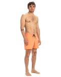 The Quiksilver Mens Everyday Solid Volley Shorts in Melon