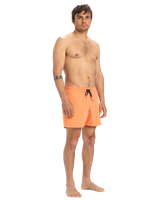 The Quiksilver Mens Everyday Solid Volley Shorts in Melon