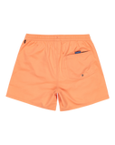 The Quiksilver Mens Everyday Solid Volley Shorts in Melon