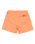The Quiksilver Mens Everyday Solid Volley Shorts in Melon