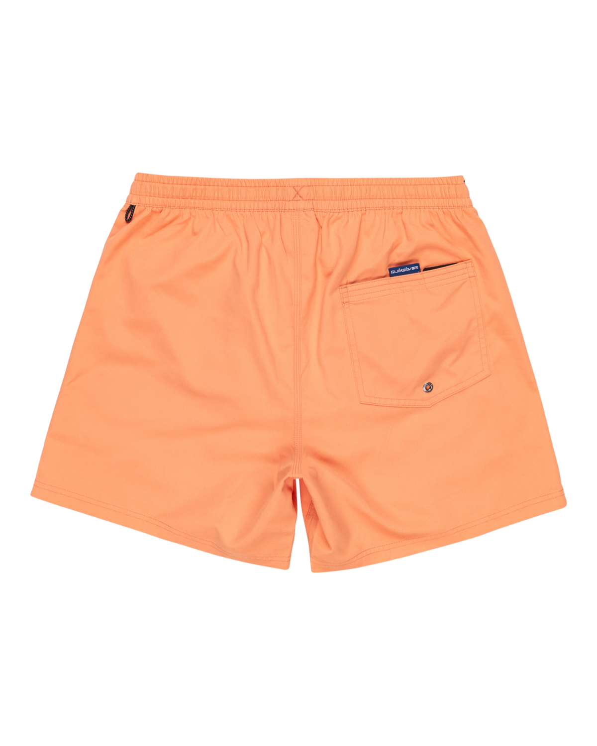 The Quiksilver Mens Everyday Solid Volley Shorts in Melon