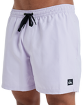 The Quiksilver Mens Everyday Solid Volley Shorts in Orchid Petal