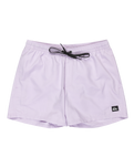 The Quiksilver Mens Everyday Solid Volley Shorts in Orchid Petal