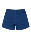 The Quiksilver Mens Everyday Vert Volley Shorts in Estate Blue
