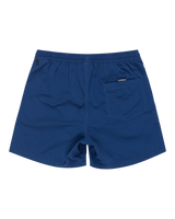 The Quiksilver Mens Everyday Vert Volley Shorts in Estate Blue