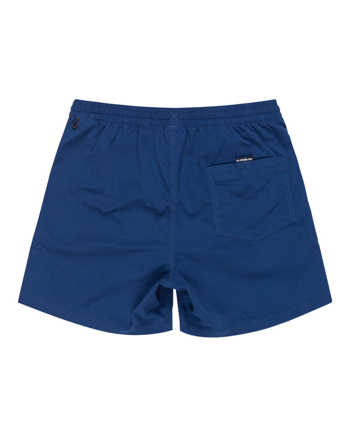 The Quiksilver Mens Everyday Vert Volley Shorts in Estate Blue